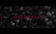 拉布拉多咬主人手