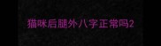 猫咪后腿外八字正常吗