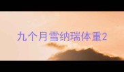 九个月雪纳瑞体重