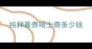 纯种最贵哈士奇多少钱