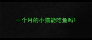 一个月的小猫能吃鱼吗