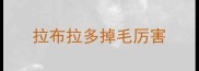拉布拉多掉毛厉害