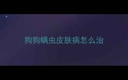 狗狗螨虫皮肤病怎么治
