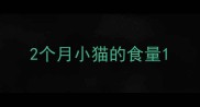 2个月小猫的食量