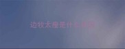 边牧太瘦是什么原因
