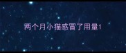 两个月小猫感冒了用量