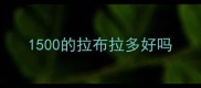 1500的拉布拉多好吗