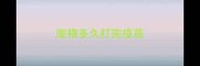 宠物多久打完疫苗