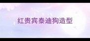 红贵宾泰迪狗造型