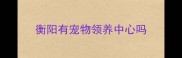 衡阳有宠物领养中心吗