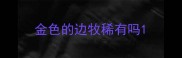 金色的边牧稀有吗