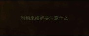 狗狗来姨妈要注意什么