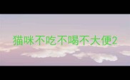 猫咪不吃不喝不大便