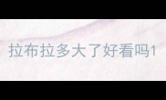 拉布拉多大了好看吗