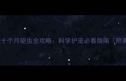 边境牧羊犬十个月驱虫全攻略科学护宠必看指南附真实案例
