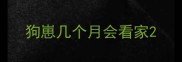 狗崽几个月会看家