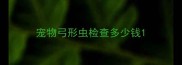 宠物弓形虫检查多少钱