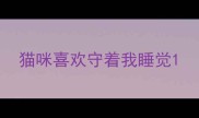 猫咪喜欢守着我睡觉