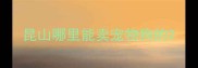 昆山哪里能卖宠物狗的