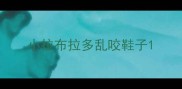 小拉布拉多乱咬鞋子