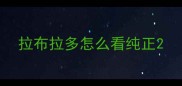 拉布拉多怎么看纯正