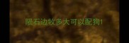 陨石边牧多大可以配狗