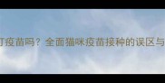 小猫不用打疫苗吗全面猫咪疫苗接种的误区与科学指南