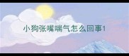小狗张嘴喘气怎么回事