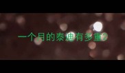 一个月的泰迪有多重