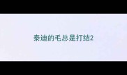 泰迪的毛总是打结