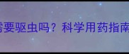 两个月大幼犬需要驱虫吗科学用药指南与注意事项全
