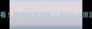 北京养狗人必看狗狗频繁咳嗽干呕的8大原因及应对指南