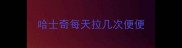 哈士奇每天拉几次便便