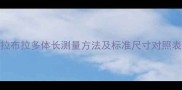 宠物主人必看拉布拉多体长测量方法及标准尺寸对照表附详细教程