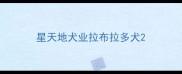 星天地犬业拉布拉多犬