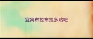 宜宾市拉布拉多贴吧