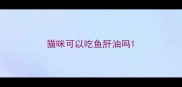 猫咪可以吃鱼肝油吗