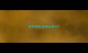 贵阳哪家宠物店最好
