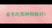 金毛吃那种狗粮好