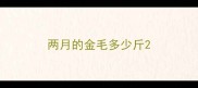 两月的金毛多少斤