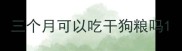 三个月可以吃干狗粮吗