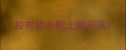 拉布拉多配上种应该