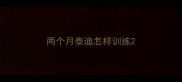 两个月泰迪怎样训练