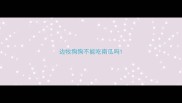 边牧狗狗不能吃南瓜吗