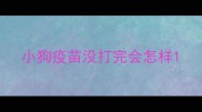 小狗疫苗没打完会怎样