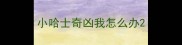 小哈士奇凶我怎么办