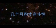 几个月狗才有斗性