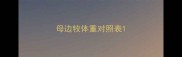 母边牧体重对照表