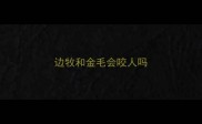边牧和金毛会咬人吗