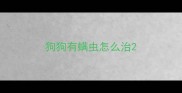 狗狗有螨虫怎么治